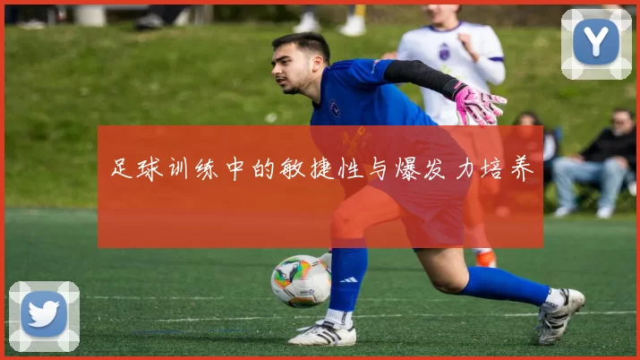 足球训练中的敏捷性与爆发力培养