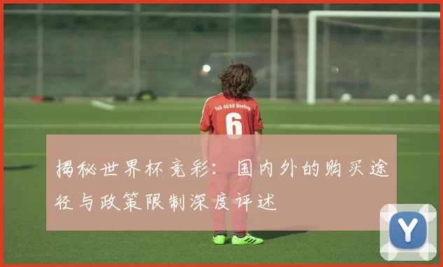 揭秘世界杯竞彩:国内外的购买途径与政策限制深度评述
