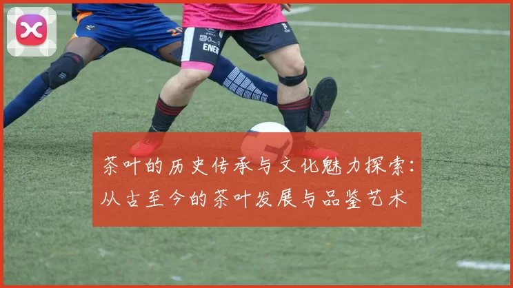 茶叶的历史传承与文化魅力探索:从古至今的茶叶发展与品鉴艺术