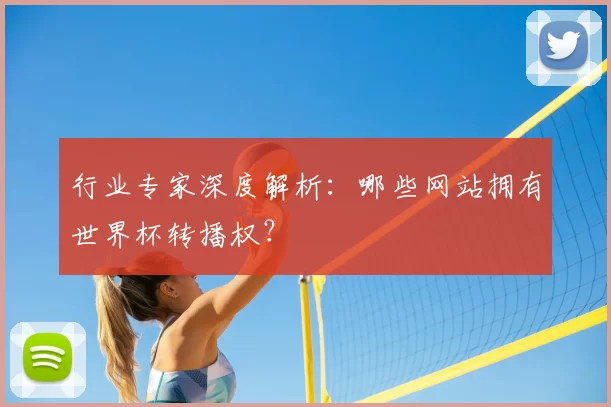 行业专家深度解析:哪些网站拥有世界杯转播权?