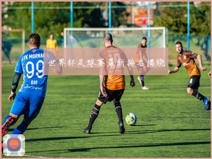 世界杯足球赛最新排名揭晓