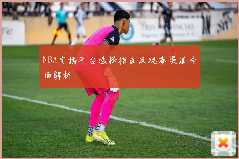 NBA直播平台选择指南及观赛渠道全面解析