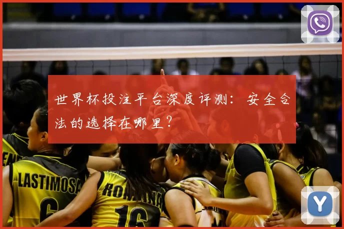 世界杯投注平台深度评测：安全合法的选择在哪里？