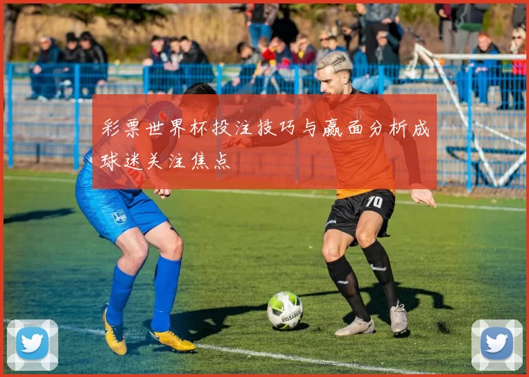 彩票世界杯投注技巧与赢面分析成球迷关注焦点