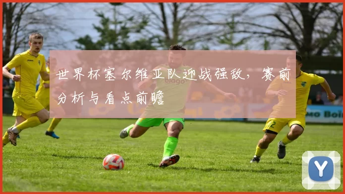 世界杯塞尔维亚队迎战强敌,赛前分析与看点前瞻