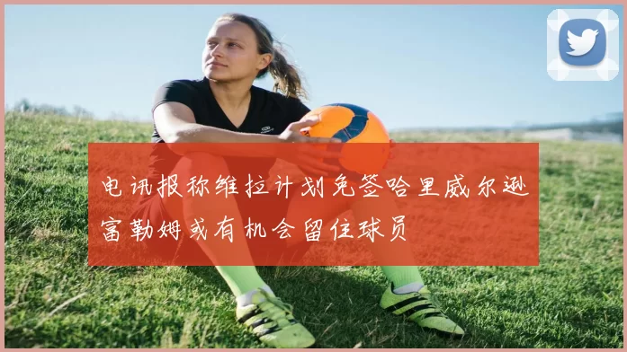 电讯报称维拉计划免签哈里威尔逊富勒姆或有机会留住球员