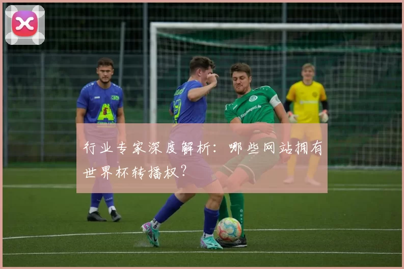 行业专家深度解析：哪些网站拥有世界杯转播权？