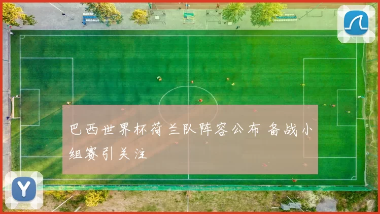 巴西世界杯荷兰队阵容公布 备战小组赛引关注