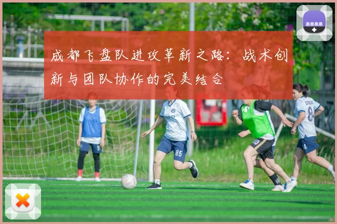 成都飞盘队进攻革新之路:战术创新与团队协作的完美结合