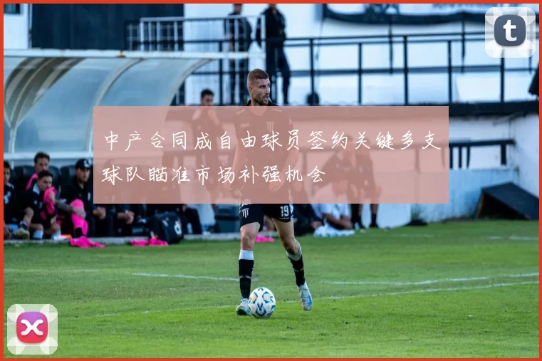 中产合同成自由球员签约关键多支球队瞄准市场补强机会