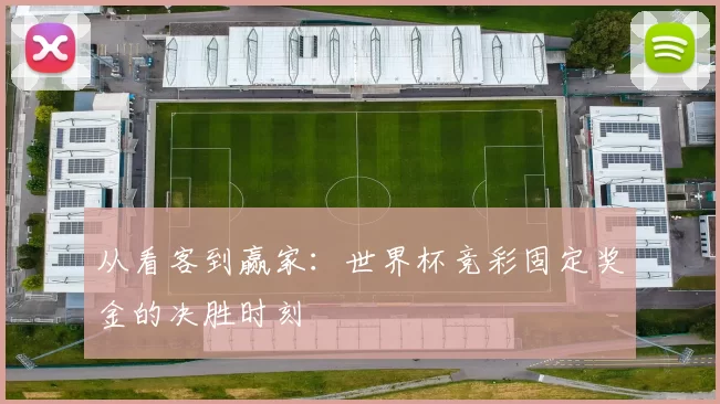 从看客到赢家:世界杯竞彩固定奖金的决胜时刻