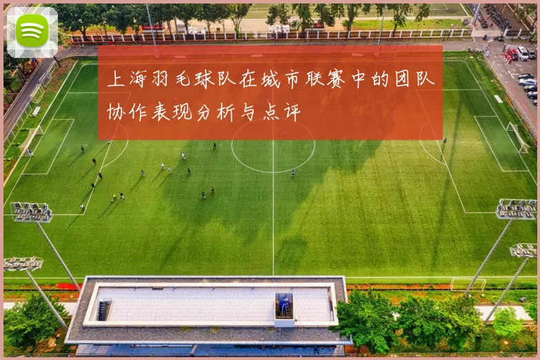 上海羽毛球队在城市联赛中的团队协作表现分析与点评