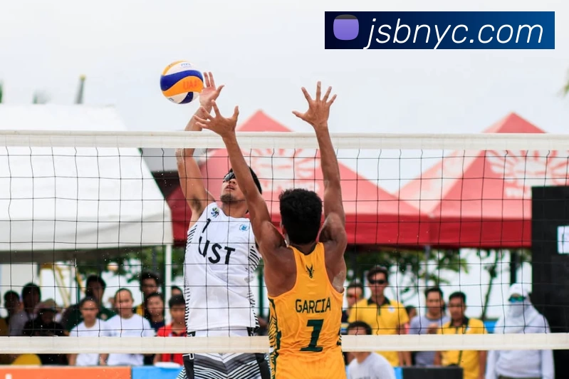 华体会体育平台生态图